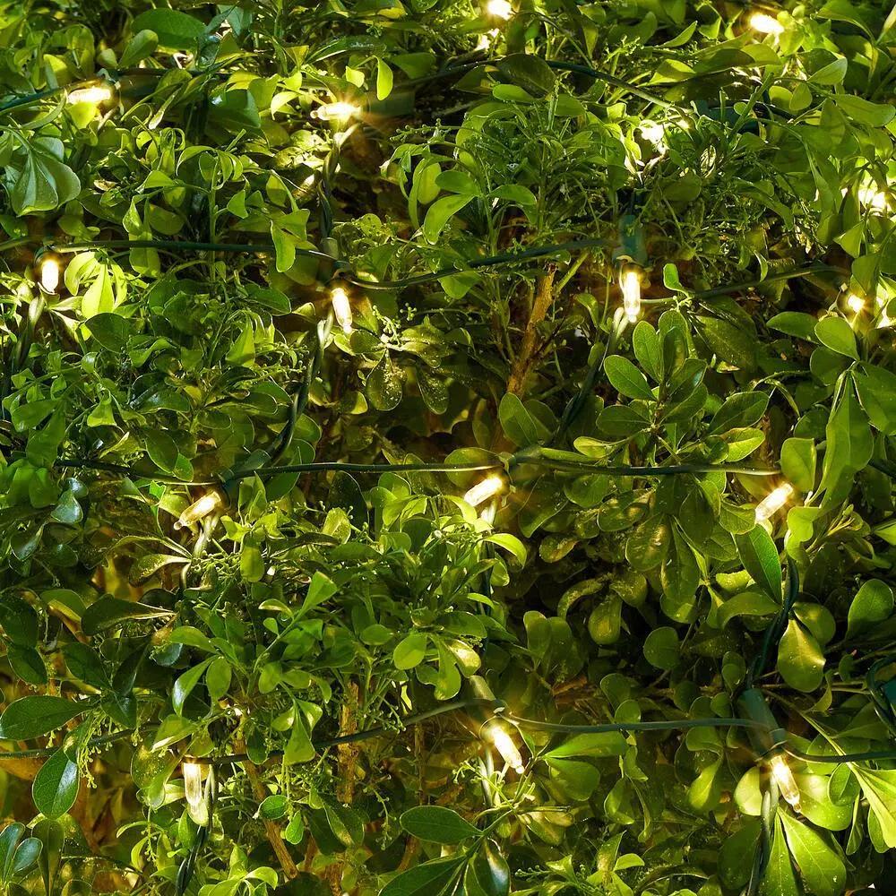 Home Accents Holiday 48 in. x 72 in. 150-Light Warm White LED Mini Net Lights, Indoor/Outdoor