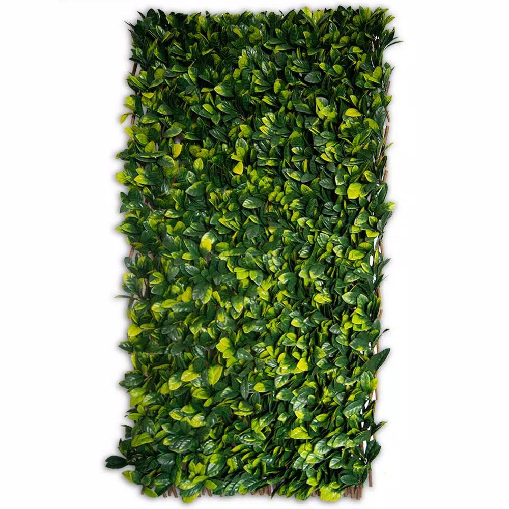 Greensmart Decor 40 in. x 80 in. Artificial Lemon Leaf Lattice Privacy Screen