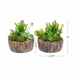 Pure Garden 8 in. Faux Succulent Arrangement with Decorative Concrete Planter, Set of 2 thumbnail 2