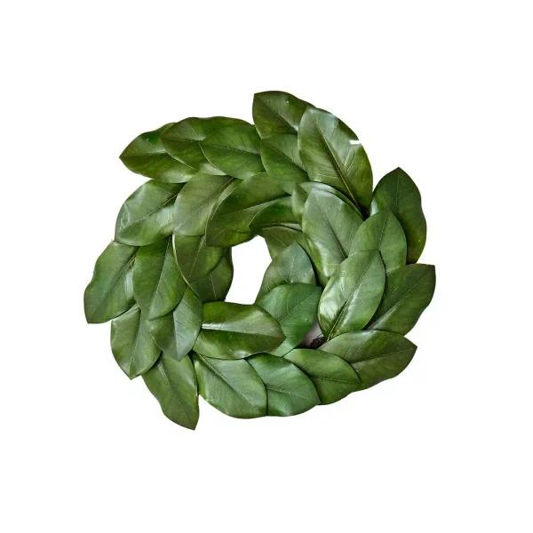 Worth Imports 20 in. Magnolia Leaf Wreath, Artificial Greenery on Natural Twig Base