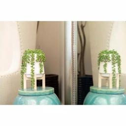 Flora Bunda 10 in. Faux Donkey Tail Succulent in White Ceramic Planter with Wood Stand thumbnail 5