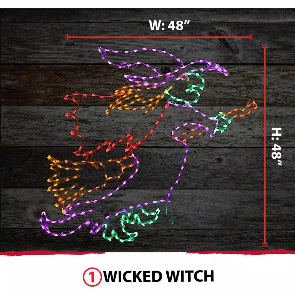 Haunted Hill Farm 48 in. Wicked Witch on a Broom LED Halloween Indoor/Outdoor Light