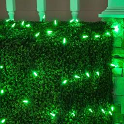Wintergreen Lighting 48 in. x 72 in. 100-Light M5 LED Green Net Light Set thumbnail 2