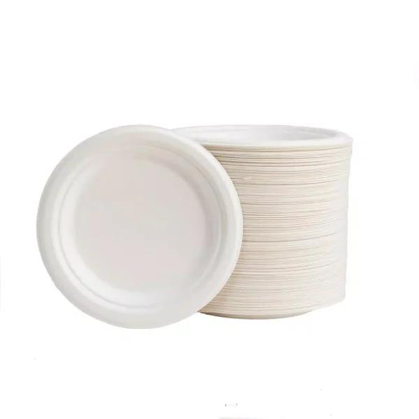 Unbranded 7 in. White Sugarcane Plates, Eco-Friendly & Biodegradable (600 Pack)