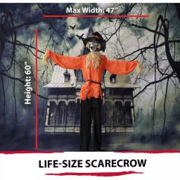 Haunted Hill Farm 5 ft. Animated Skeleton Scarecrow Halloween Prop thumbnail 7