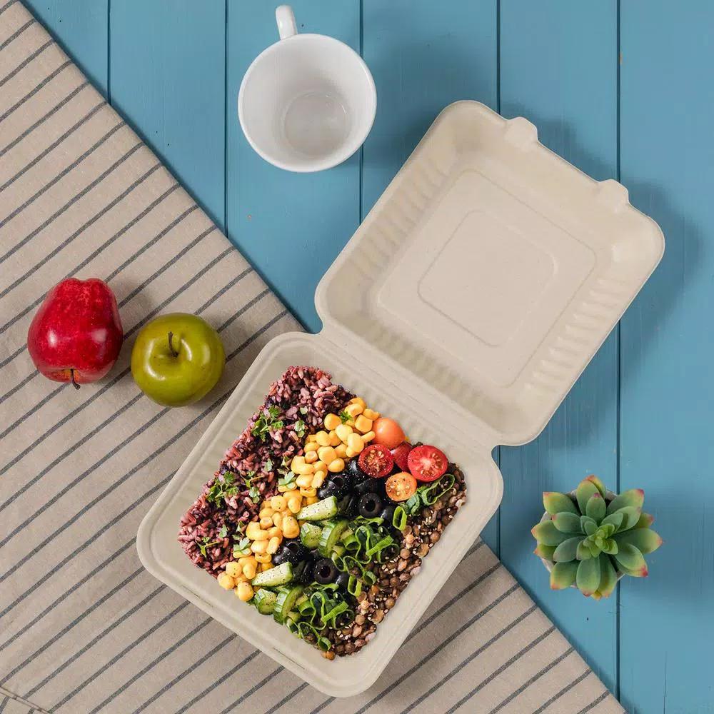 Unbranded 9 in. Natural Sugarcane Clamshell Containers, Eco-Friendly & Compostable (300 Pack)