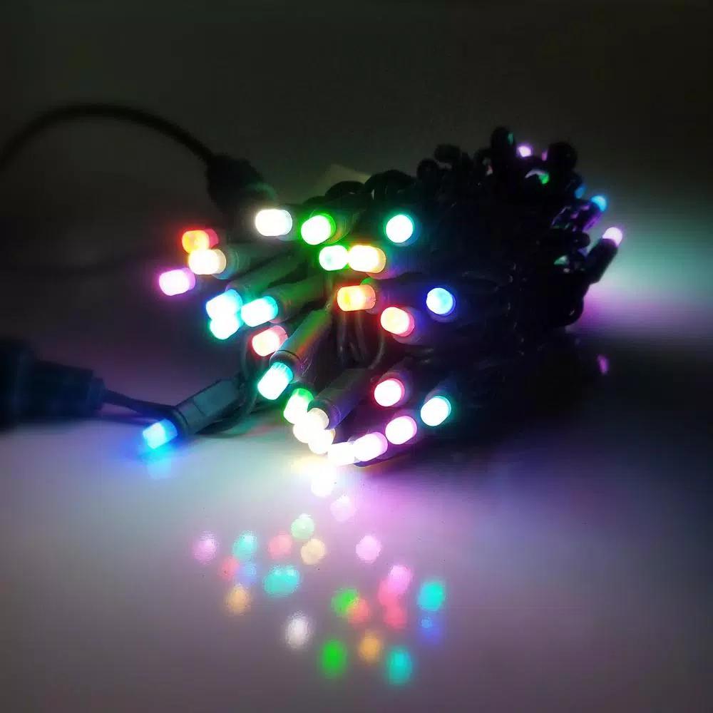 HOLIDYNAMICS HOLIDAY LIGHTING SOLUTIONS 50-Light RGB LED String Lights, 5 mm Frosted Bulbs, 4 in. Spacing, Green Cord
