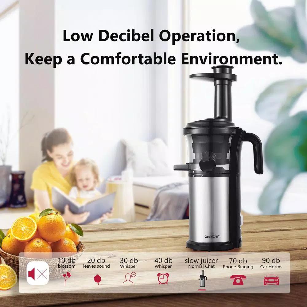 Boyel Living 200W Stainless Steel Slow Masticating Juicer, Quiet Cold Press Juicer with Reverse Function, Silver