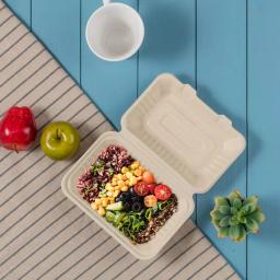 Unbranded 9 in. Natural Sugarcane Clamshell Containers, Biodegradable & Compostable (300 Pack) thumbnail 4
