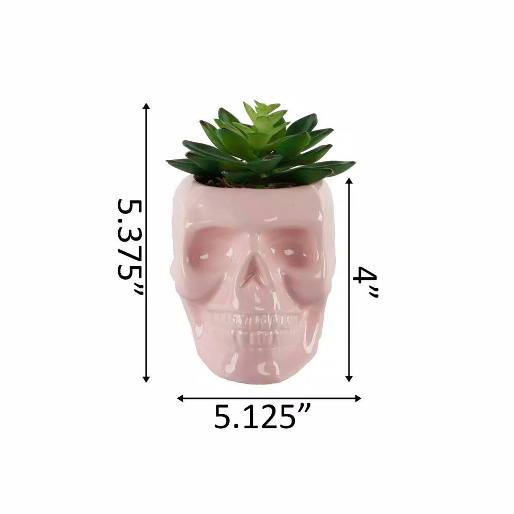 Flora Bunda Pink Ceramic Sugar Skull Succulent Planter with Artificial Plant, 4.5 x 3.5 in.