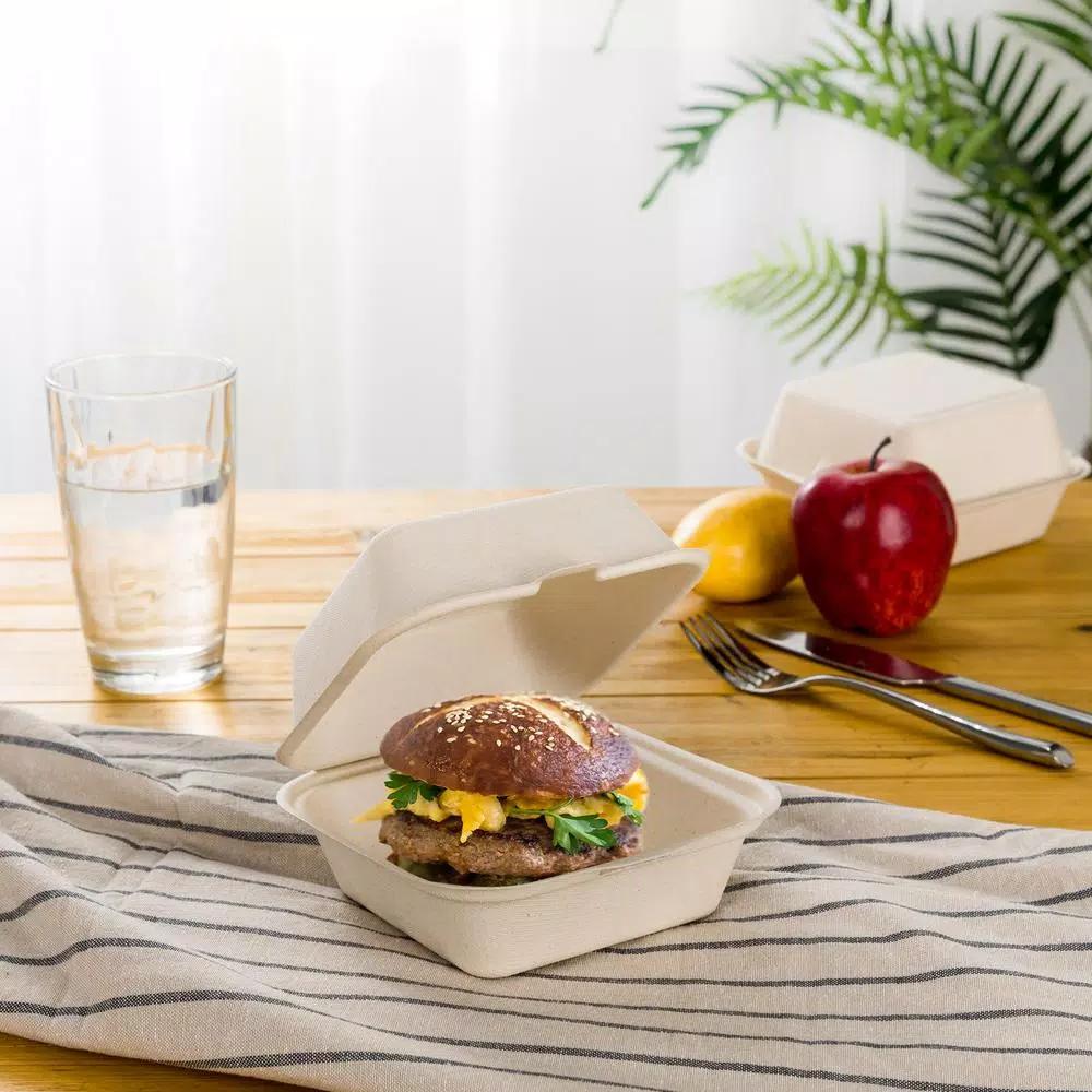 Unbranded 6 in. White Sugarcane Clamshell Containers, Compostable & Eco-Friendly (300 Pack)
