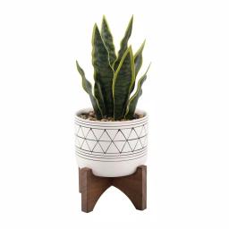 Flora Bunda 12 in. Artificial Snake Plant in White Ceramic GEO Pattern Pot with Wood Stand thumbnail 1