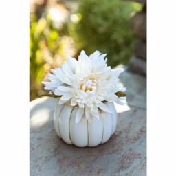 Flora Bunda 5.75 in. Cream White Faux Chrysanthemum Arrangement in Ceramic Pumpkin Pot with Gold Trim thumbnail 4