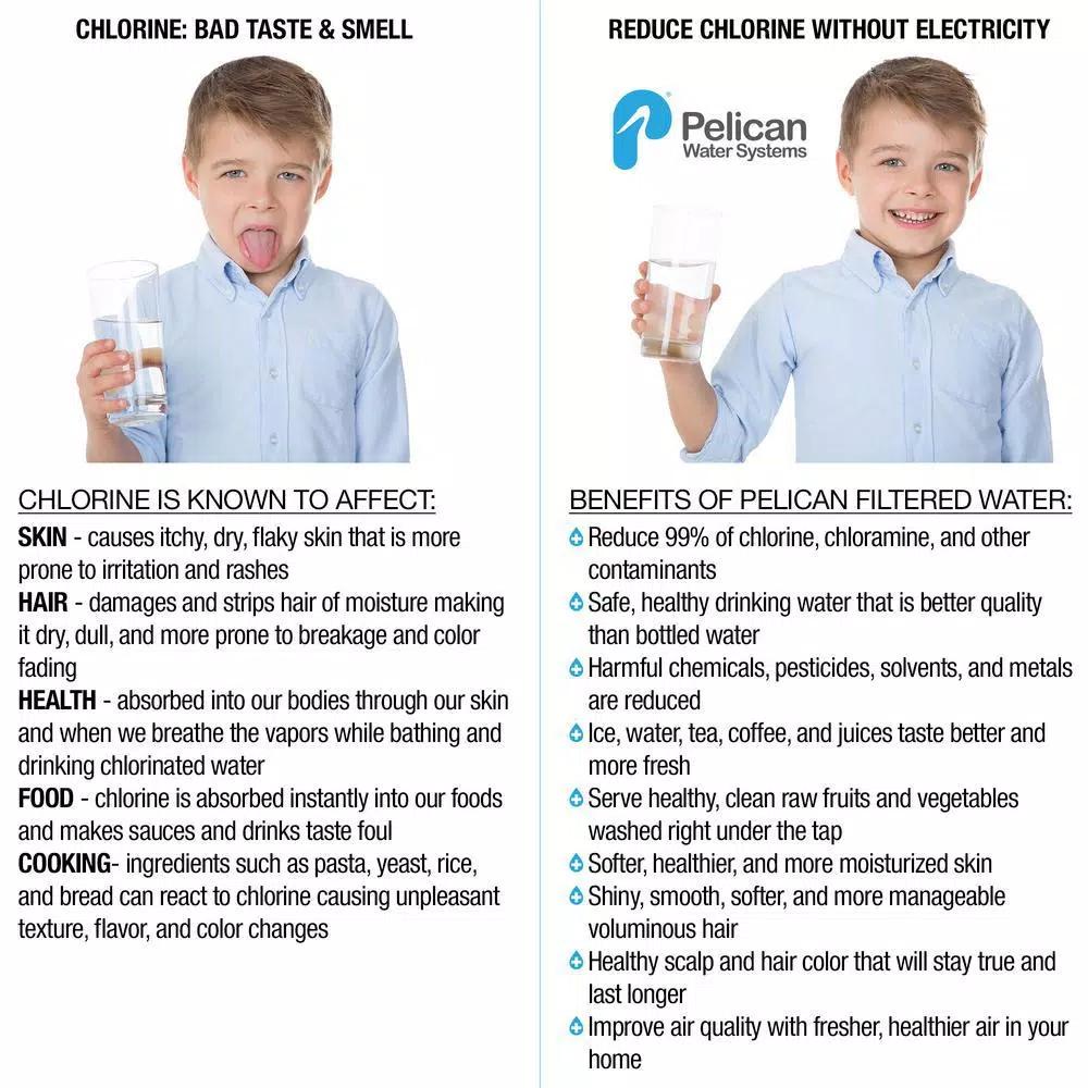 Pelican Water 10 in. 5-Micron Sediment Replacement Filter and O-Ring for PC-100 EZ Connect