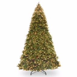 National Tree Company 14 ft. Feel Real Downswept Douglas Fir Artificial Christmas Tree with 1600 Dual Color LED Lights thumbnail 1