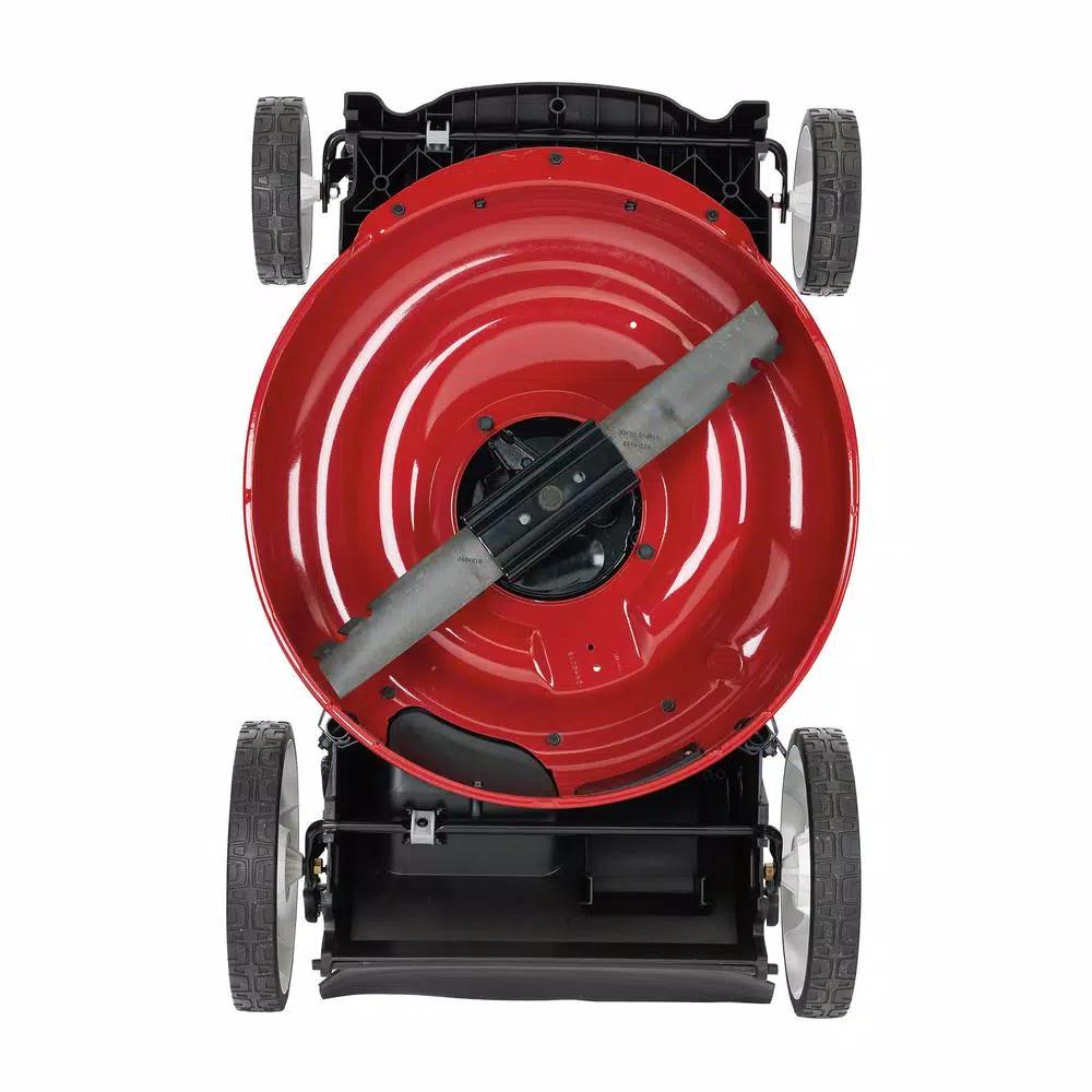 Toro Recycler 21 in. High Wheel Gas Push Lawn Mower with Briggs & Stratton Engine and Bagger