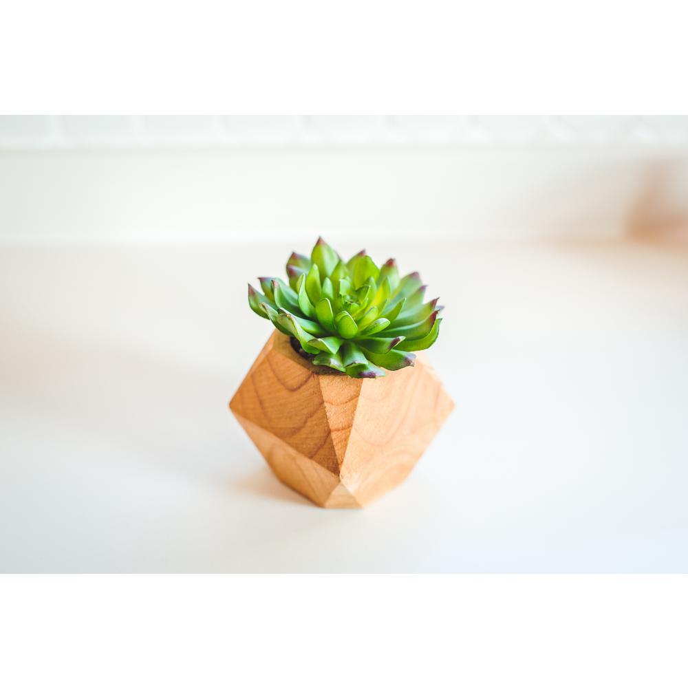 Flora Bunda Set of 2 Faux Succulents in Hand-Crafted Geometric Wood Planters, 4.5 in.
