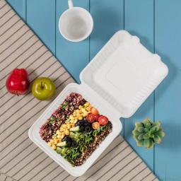 Unbranded 9 in. White Sugarcane Clamshell Containers, 300 Pack - Eco-Friendly & Compostable thumbnail 4