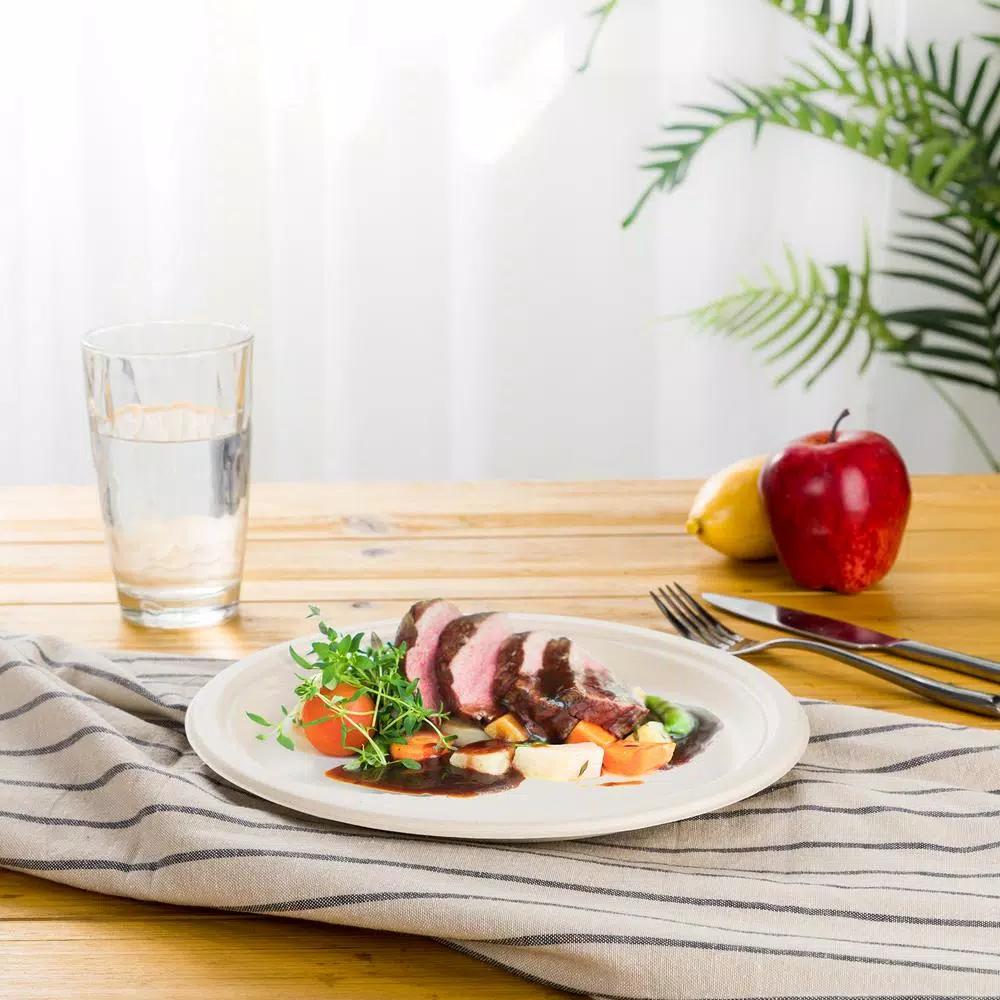 Unbranded 10 in. Natural Sugarcane Plates, Eco-Friendly & Compostable (300 Pack)