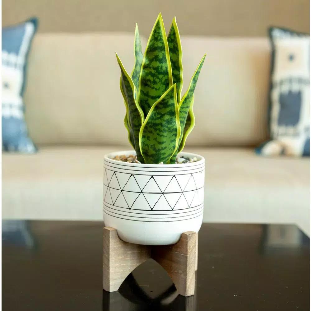 Flora Bunda 12 in. Artificial Snake Plant in White Ceramic GEO Pattern Pot with Wood Stand