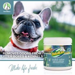OdoBan Savannah Mist Solid Odor Absorber Gel, 14 oz. thumbnail 3
