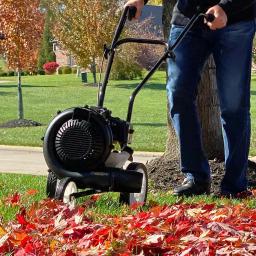 Sportsman 52 cc Gas Powered Walk-Behind Leaf Blower, 230 MPH, 450 CFM thumbnail 2