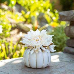 Flora Bunda 5.75 in. Cream White Faux Chrysanthemum Arrangement in Ceramic Pumpkin Pot with Gold Trim thumbnail 3