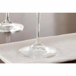 Home Decorators Collection Genoa Lead-Free Crystal Coupe Cocktail Glasses, 11.25 oz (Set of 8) thumbnail 5