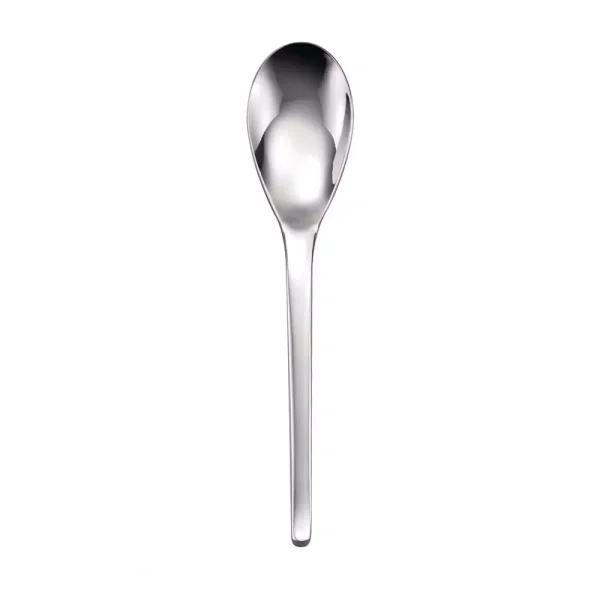 Oneida Apex 18/10 Stainless Steel Tablespoon and Serving Spoons, Set of 12