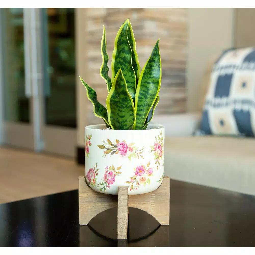 Flora Bunda 12 in. Faux Snake Plant in Floral White Ceramic Pot with Wood Stand