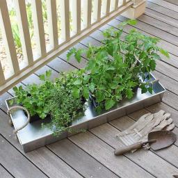 Achla Designs Galvanized Steel Serving Tray with Rope Handles, 28.25 in. x 10.25 in. thumbnail 6