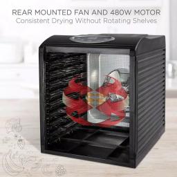 Ivation 9-Tray Electric Food Dehydrator with Digital Timer & Temperature Control, 600W thumbnail 3