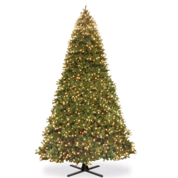 National Tree Company 16 ft. Feel Real Downswept Douglas Fir Artificial Christmas Tree with 2100 Dual Color LED Lights