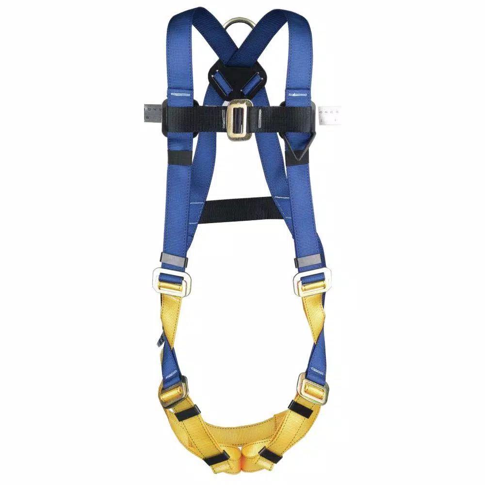 Werner BaseWear Standard Universal Safety Harness, 1 D-Ring, Blue