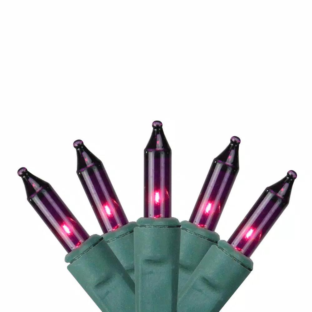 Sienna 4 ft. x 6 ft. Purple Mini Net Style Christmas Lights with Green Wire, 150 Bulbs