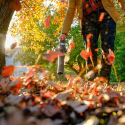 Scotts 20V Cordless Leaf Blower Kit with 2.0Ah Battery and Fast Charger, 130 MPH, 98 CFM thumbnail 6
