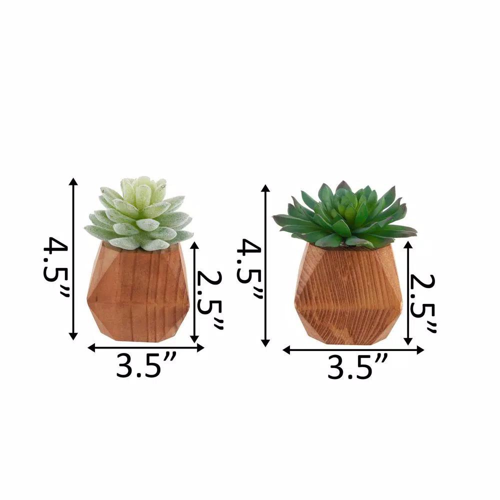 Flora Bunda Set of 2 Faux Succulents in Hand-Crafted Geometric Wood Planters, 4.5 in.