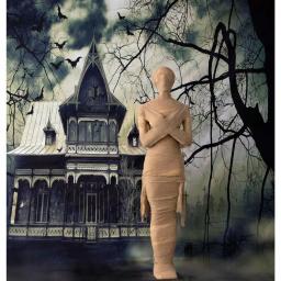 Haunted Hill Farm 5 ft. Standing Wrapped Mummy Halloween Prop thumbnail 2