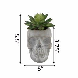 Flora Bunda 5 in. Halloween Sugar Skull Artificial Succulent Planter in Gray Cement thumbnail 2