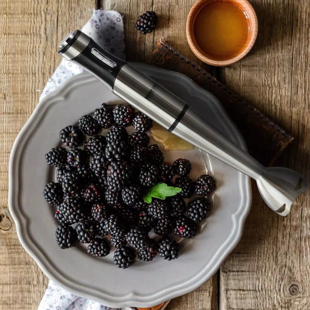 Better Chef 260W Variable Speed Immersion Blender with Turbo Boost, Silver