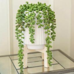 Flora Bunda 10 in. Faux Donkey Tail Succulent in White Ceramic Planter with Wood Stand thumbnail 6