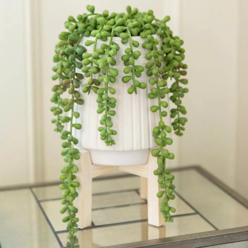 Flora Bunda 10 in. Faux Donkey Tail Succulent in White Ceramic Planter with Wood Stand