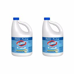 Clorox Concentrated Germicidal Bleach, 121 oz (2-Pack) thumbnail 1