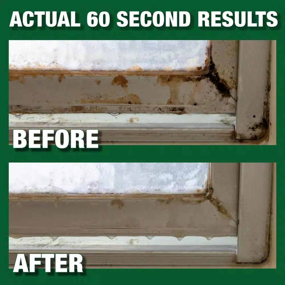 Mold Armor Rapid Clean Remediation Mold Removal Spray, 32 oz.