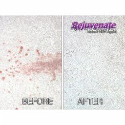 Rejuvenate Simple Green All-Purpose Carpet and Upholstery Spot and Stain Remover, 32 oz. thumbnail 7